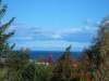 Garten und Swimmingpool