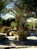 Garten und Swimmingpool