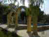 Garten und Swimmingpool