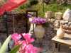 Garten und Swimmingpool