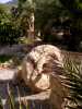 Garten und Swimmingpool