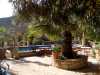 Garten und Swimmingpool